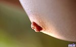 have lethal weapons japanese sexy woman young